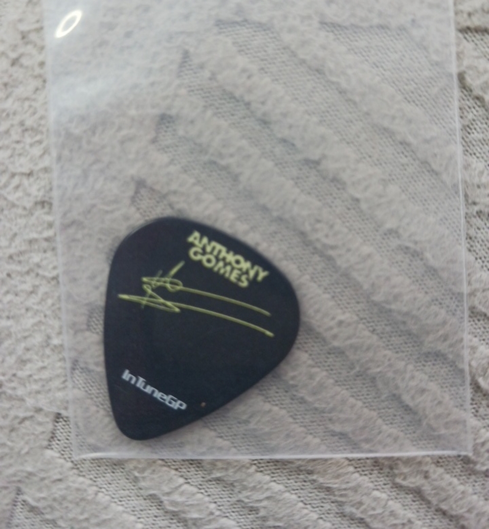 Anthony Gomes CD + Sticker Pack & Pick - Picture 6 of 8